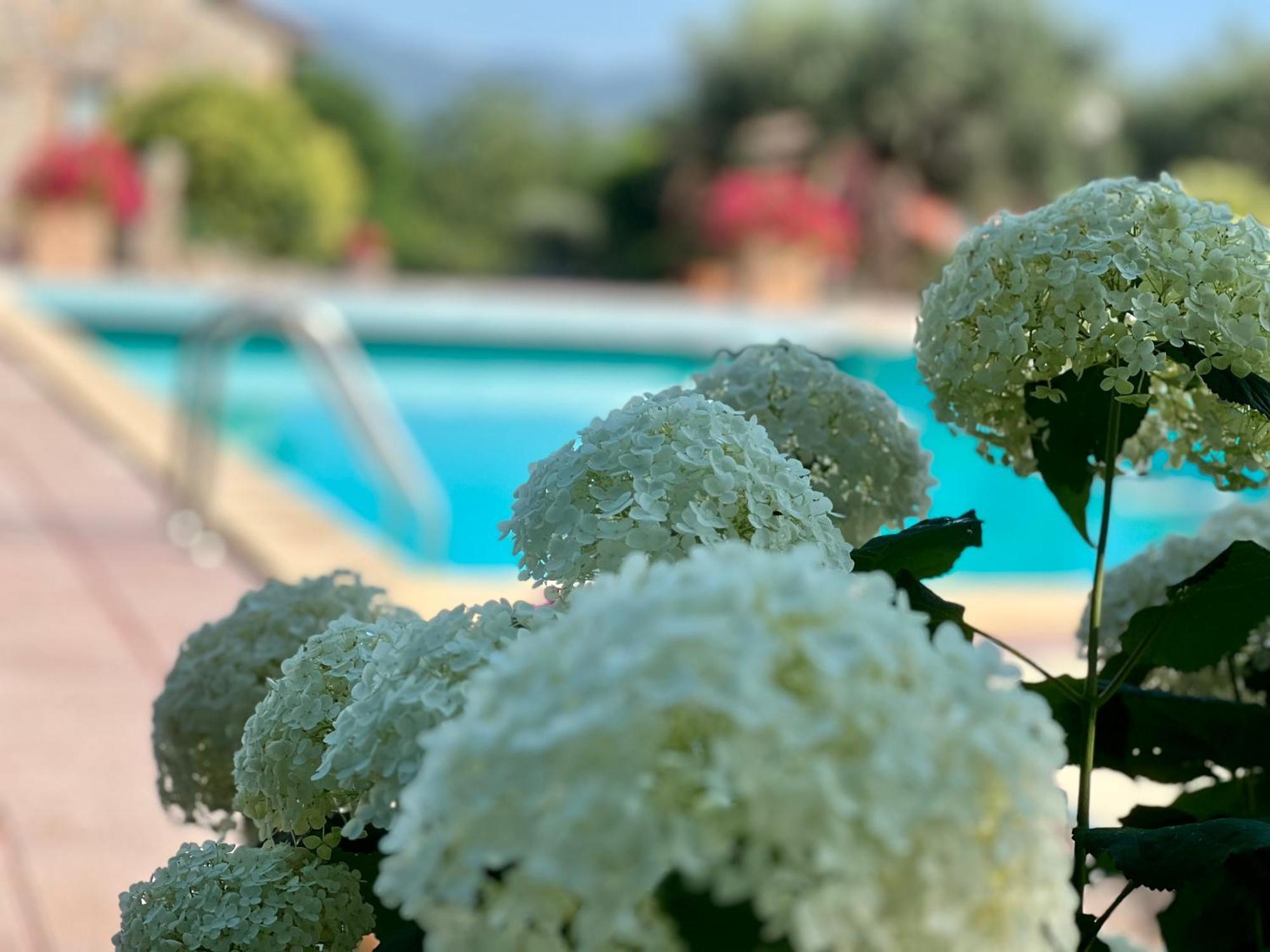 Le Case Di Lisetta Holiday Homes Corciano Zewnętrze zdjęcie