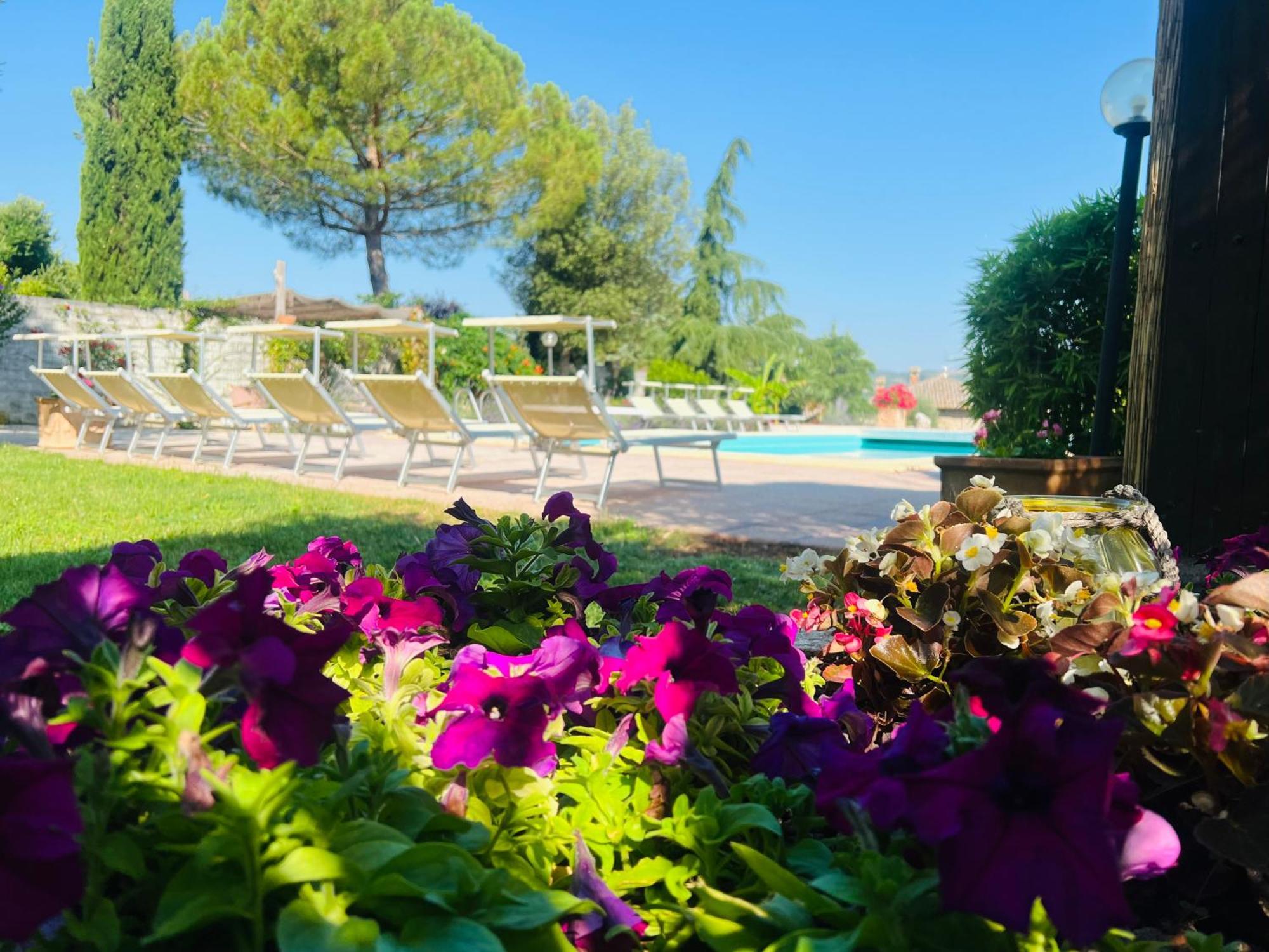 Le Case Di Lisetta Holiday Homes Corciano Zewnętrze zdjęcie