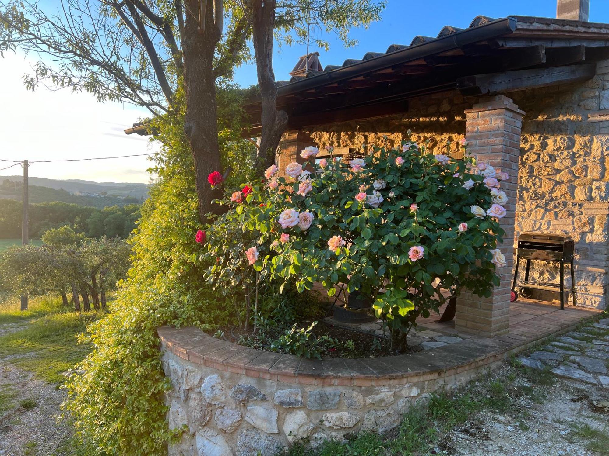 Le Case Di Lisetta Holiday Homes Corciano Zewnętrze zdjęcie