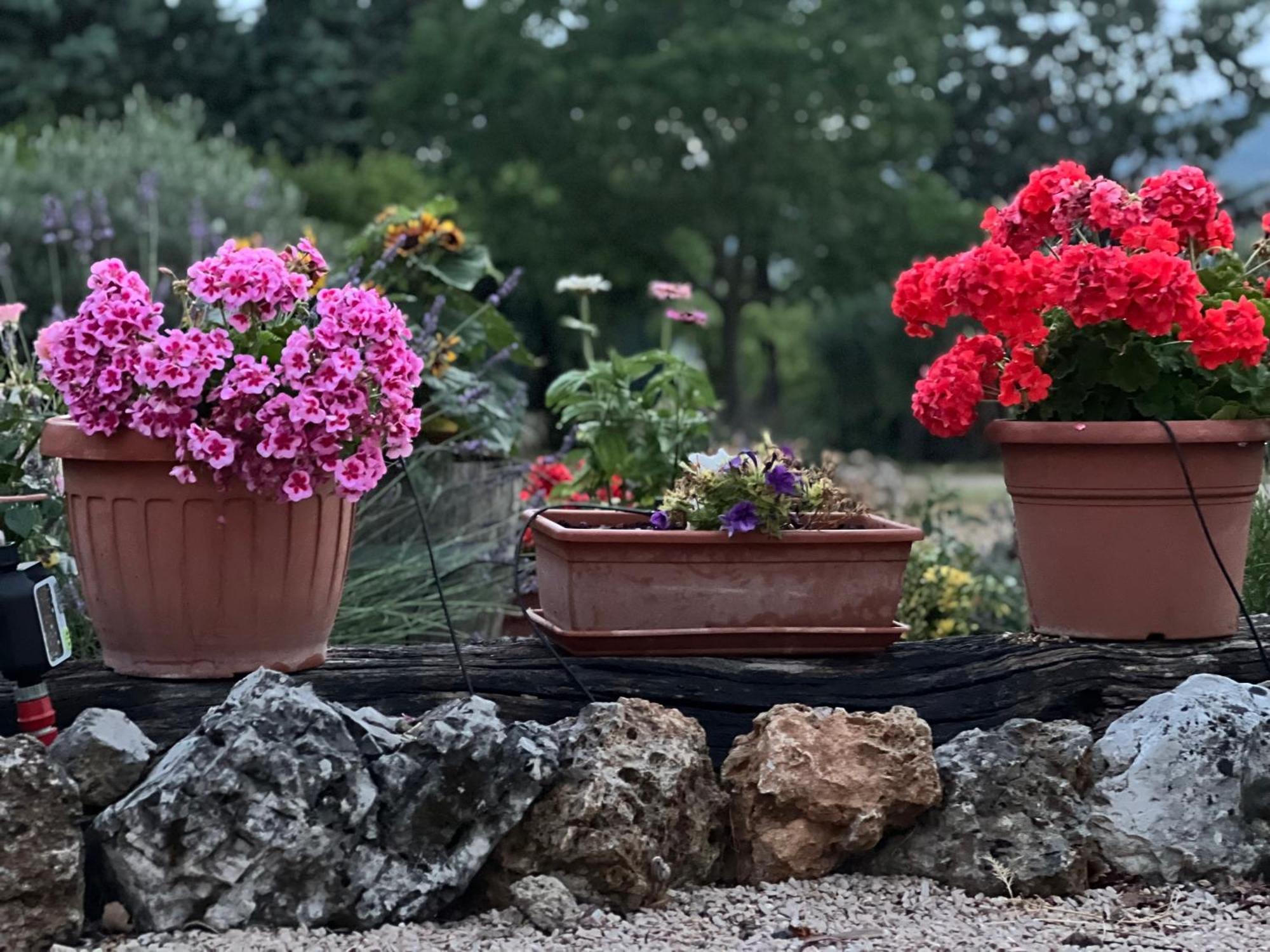 Le Case Di Lisetta Holiday Homes Corciano Zewnętrze zdjęcie