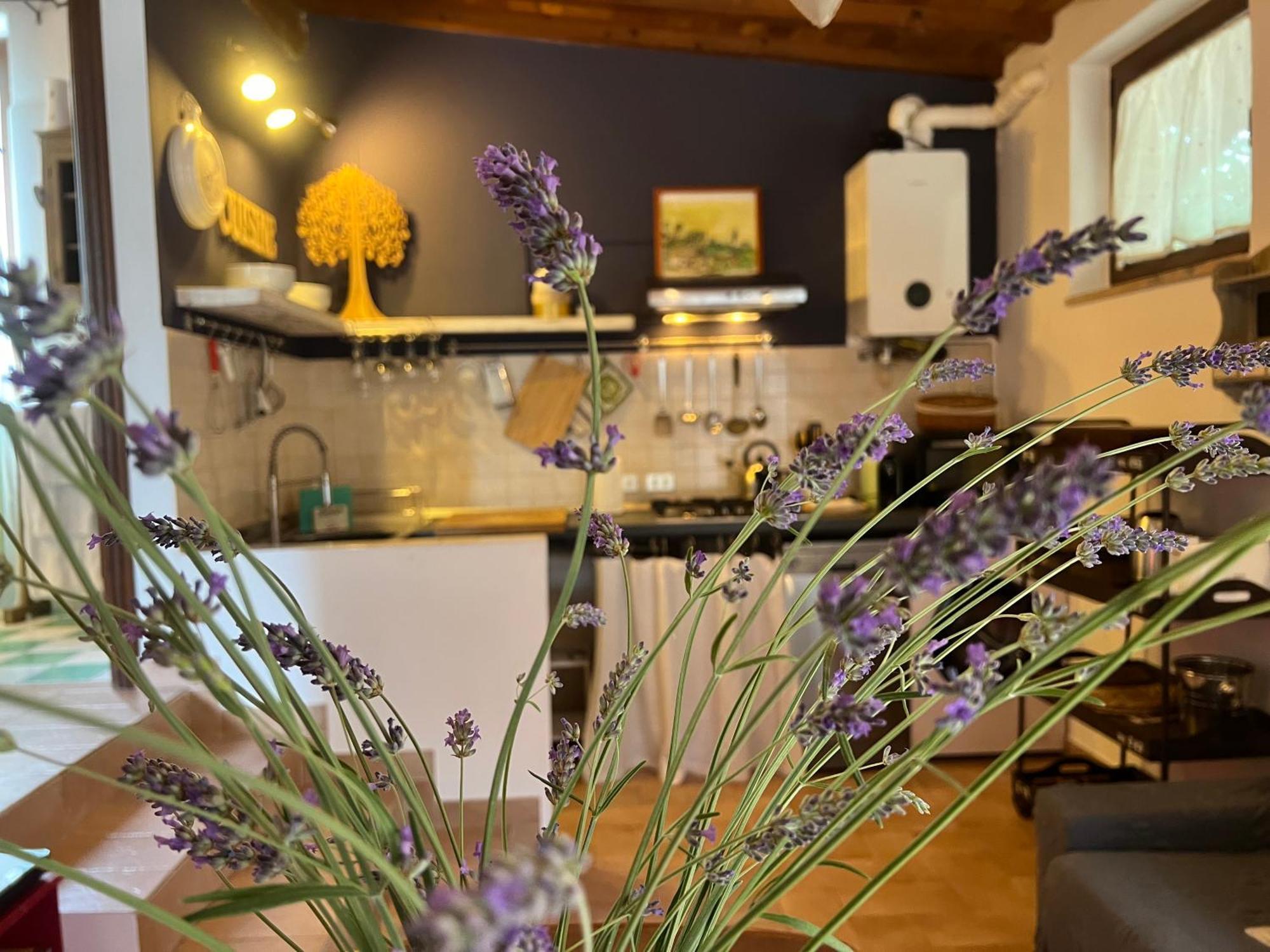 Le Case Di Lisetta Holiday Homes Corciano Zewnętrze zdjęcie