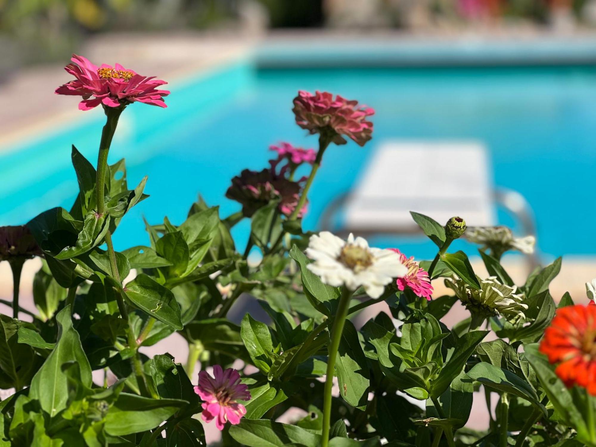 Le Case Di Lisetta Holiday Homes Corciano Zewnętrze zdjęcie