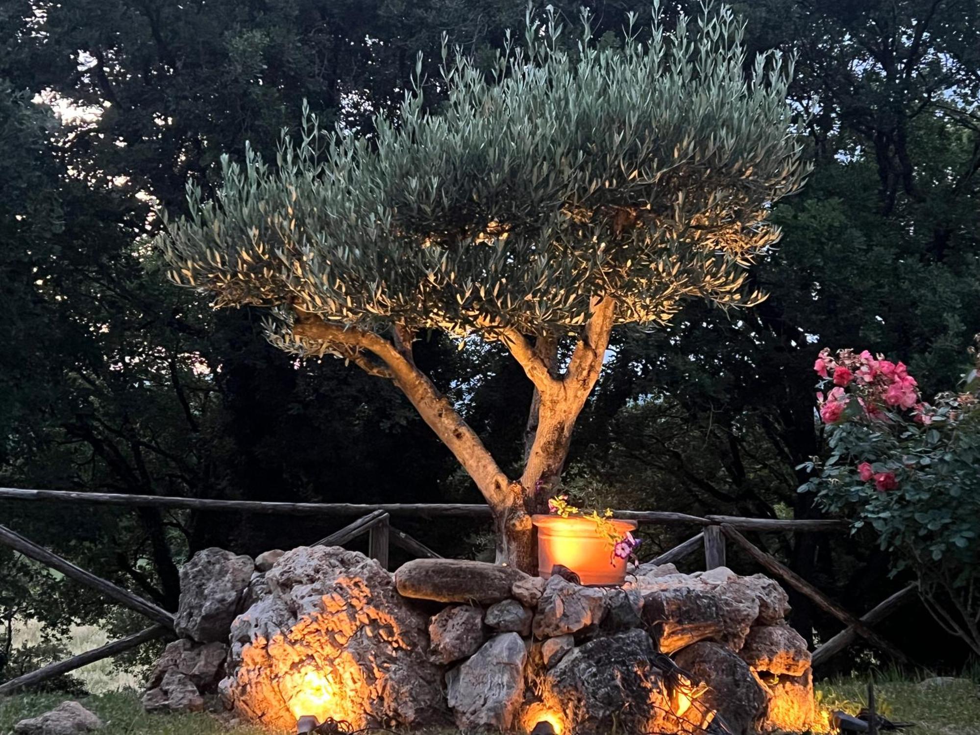 Le Case Di Lisetta Holiday Homes Corciano Zewnętrze zdjęcie